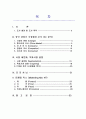 [마케팅]삼성전자 애니콜의 중국 마케팅 성공 사례 (A+대박 레포트) 1페이지