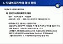 사회복지정책의 개념 13페이지