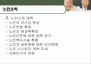 [노인복지정책]고령화 사회에 따른 노인문제 조사 8페이지