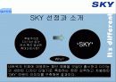 [이동통신시장]SK텔레텍의 ‘SKY'의 제품과 시장환경분석 및 마케팅 전략 분석 3페이지