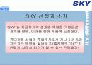 [이동통신시장]SK텔레텍의 ‘SKY'의 제품과 시장환경분석 및 마케팅 전략 분석 4페이지