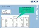 [이동통신시장]SK텔레텍의 ‘SKY'의 제품과 시장환경분석 및 마케팅 전략 분석 22페이지