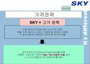 [이동통신시장]SK텔레텍의 ‘SKY'의 제품과 시장환경분석 및 마케팅 전략 분석 39페이지