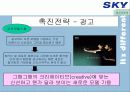 [이동통신시장]SK텔레텍의 ‘SKY'의 제품과 시장환경분석 및 마케팅 전략 분석 52페이지