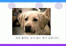 감성 마케팅 감성마케팅 오감마케팅 PPT 8페이지