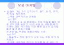 감성 마케팅 감성마케팅 오감마케팅 PPT 14페이지