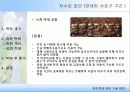 자연형 하천 공법의 개발 및 적용 19페이지