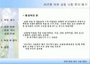 자연형 하천 공법의 개발 및 적용 33페이지