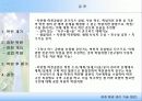 자연형 하천 공법의 개발 및 적용 34페이지