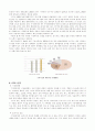 기아자동차의 마케팅 전략 분석 7페이지