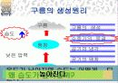 스모그(smog)가 인체에 미치는 영향 대책방안 5페이지