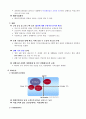 KT&G(케이티엔지)마케팅분석=A+레포트= 16페이지