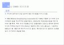 위성 DMB에 대한 이해와 기술·시장·해외 현황 및 문제점과 전망 & 발전방향 제언 12페이지