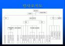 풀무원과 CJ의 기업실사비교... 31페이지