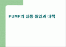 PUMP의 진동 원인과 대책 1페이지