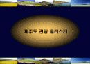 제주도 관광 클러스터분석(A+레포트) 10페이지