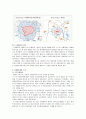 서경천도 운동, 그 끊이지 않는 논쟁 - 노무현정부의 행정수도 이전과 관련하여 14페이지