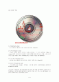 CD(Compact Disk)의 이해 4페이지
