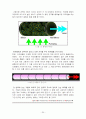 레이저[Laser] 20페이지