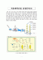 [석유화학공업]나프타 열분해 공정에 대한 분석 1페이지