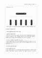 인사조직관리 사례연구-게임업체 13페이지