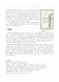 한국 근대 신문만화의 성격- 1909년~1910년 《대한민보(大韓民報)》의 삽화를 중심으로 6페이지