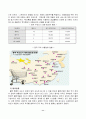 이마트의 중국 진출 성공 마케팅 전략 11페이지