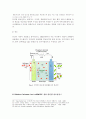 연료전지의 특성과 활용방안 12페이지