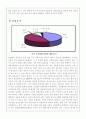 국순당의 중국진출 마케팅전략 10페이지