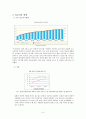 정보격차 문제의 현황과 특성 및 개선방안 보고서 8페이지