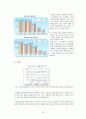 정보격차 문제의 현황과 특성 및 개선방안 보고서 10페이지