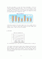 정보격차 문제의 현황과 특성 및 개선방안 보고서 11페이지