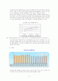 정보격차 문제의 현황과 특성 및 개선방안 보고서 13페이지