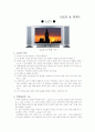 LCD와 PDP 비교, NAND Flash Memory에 대한 보고서 2페이지