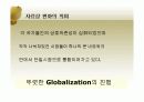 Globalization과 해외시장 진입유형 8페이지