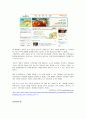 싸이월드(CYWORLD)의 경영 및 마케팅 성공전략분석 13페이지