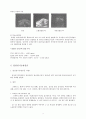 갑상선[갑삼선기능항진증,저하증,감상선염,단순갑상선종,갑상선암] 3페이지