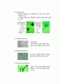세균학-균류 5페이지