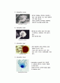 세균학-균류 11페이지