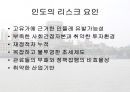 인도와 주변국간의 경제관계 41페이지