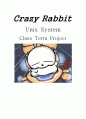 CrazyRabbit_유닉스기반 텍스트 게임 1페이지