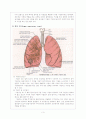 폐렴환아에 대한 사례연구 3페이지