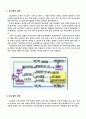 당뇨(성인병) A+자료 2페이지