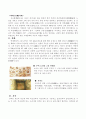 삼국 예술의 특징 7페이지