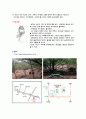 신종 이색 스포츠-서바이벌 2 3페이지