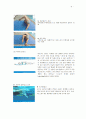 수영의 역학적 원리 및 과학과 크롤 영법 & 배영 6페이지