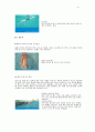 수영의 역학적 원리 및 과학과 크롤 영법 & 배영 11페이지