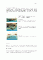 수영의 역학적 원리 및 과학과 크롤 영법 & 배영 12페이지
