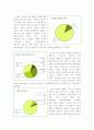 [마케팅조사]미샤(MISSHA)의 마케팅전략 (A+리포트) 51페이지