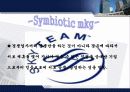 Sky Team - Symbiotic mkg 전략적 제휴 사례 조사 3페이지